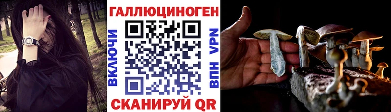 это официальный сайт  Грязовец  Галлюциногенные грибы GOLDEN TEACHER  что такое  