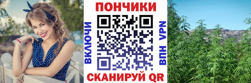 МАРИХУАНА сатива  OMG ONION  Грязовец 